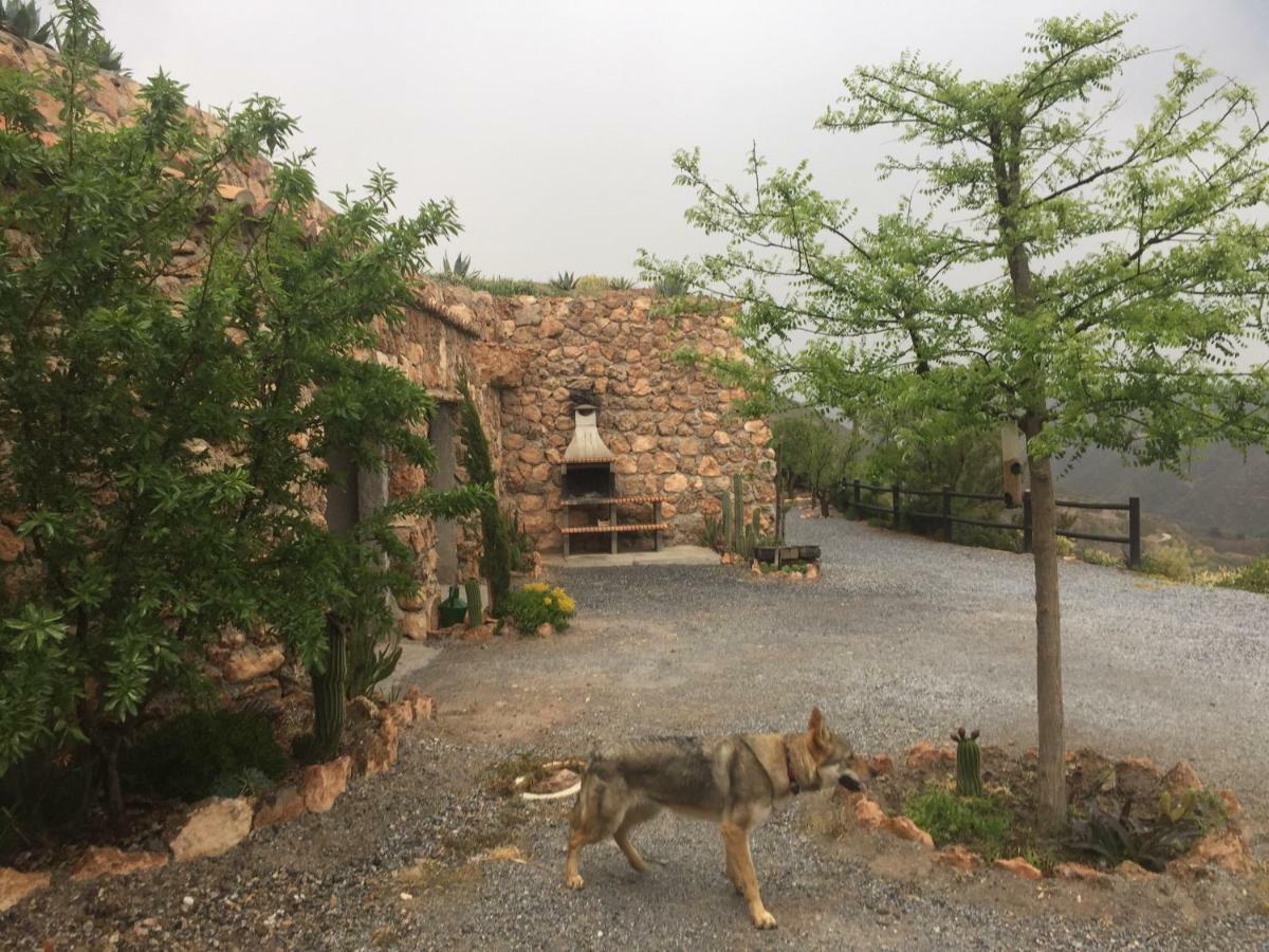 Cuevas El Torriblanco Guest House Gorafe Eksteriør bilde